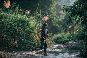 BIB: 
                            <button type="button" onclick="openModal(13716570)" class="btn btn-primary btn-sm float-right btn-popup" data-toggle="modal" data-target=".modal-high-quality">
                        <i class="fas fa-shopping-cart"></i> Add to Cart
                    </button>
                                            <button type="button" onclick="isThisMe(13716570, true)" class="btn btn-success btn-sm float-right btn-popup btn-isme hidden" data-toggle="tooltip" data-placement="bottom" title="นี่คือรูปของคุณใช่ไหม คลิกที่นี่เพื่อเอาเข้าอัลบั้ม">
                        <i class="fas fa-plus"></i> Add to album
                    </button>
                    <button type="button" onclick="isThisMe(13716570, false)" class="btn btn-warning btn-sm float-right btn-popup btn-isnotme hidden">
                        <i class="fas fa-ban"></i> Remove from album
                    </button>